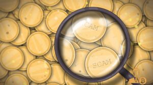 Scam (Sahtekarlık) Nedir?