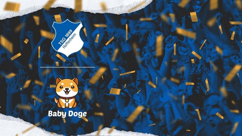 Baby Doge, Bundesliga ekibi Hoffenheim ile anlaştı