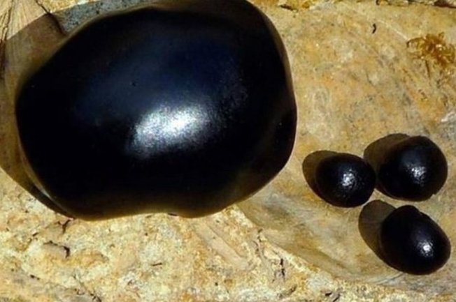 Mumiyo Nedir? Mumiyo Faydaları Nelerdir? Nasıl Kullanılır?